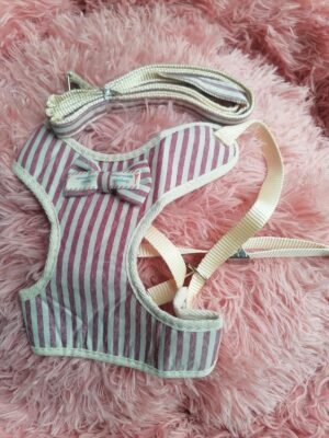 PECHERA MOÑO