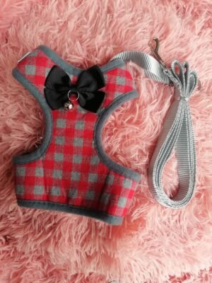PECHERA GATO