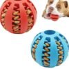 PELOTA