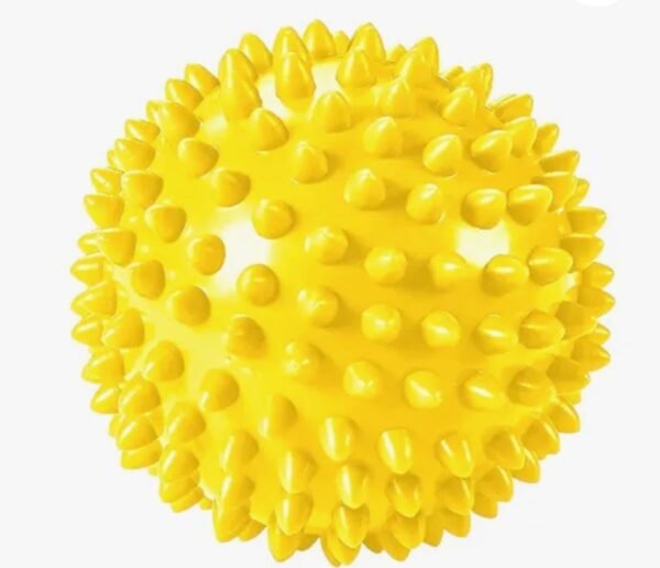 PELOTA