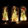CUPULA NAVIDAD