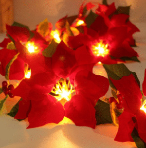 NOCHEBUENA
