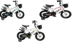 BICI R20