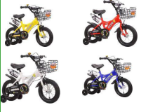 BICI R12