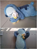 STICH CON PATO