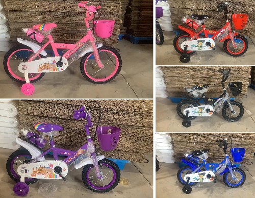 BICI PEQUEÑA CANASTA