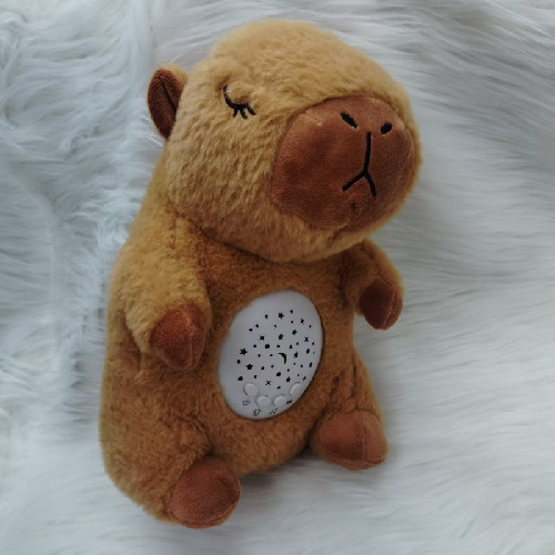 KAPIBARA MUSICA Y LUZ